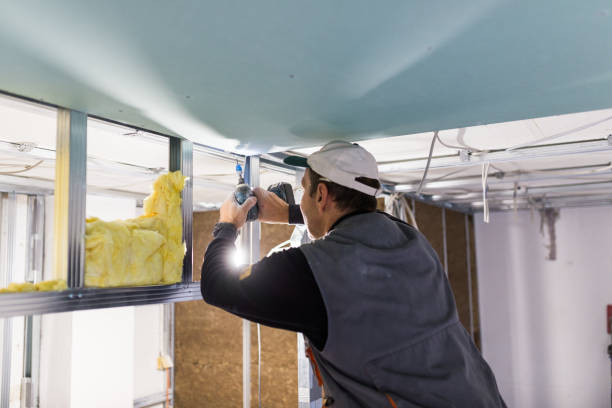 Best Geographic-Specific Insulation Services in South Elgin, IL