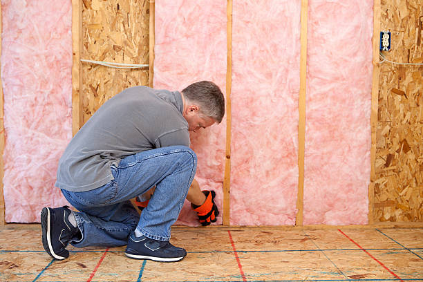 Best Blown-in Insulation in South Elgin, IL
